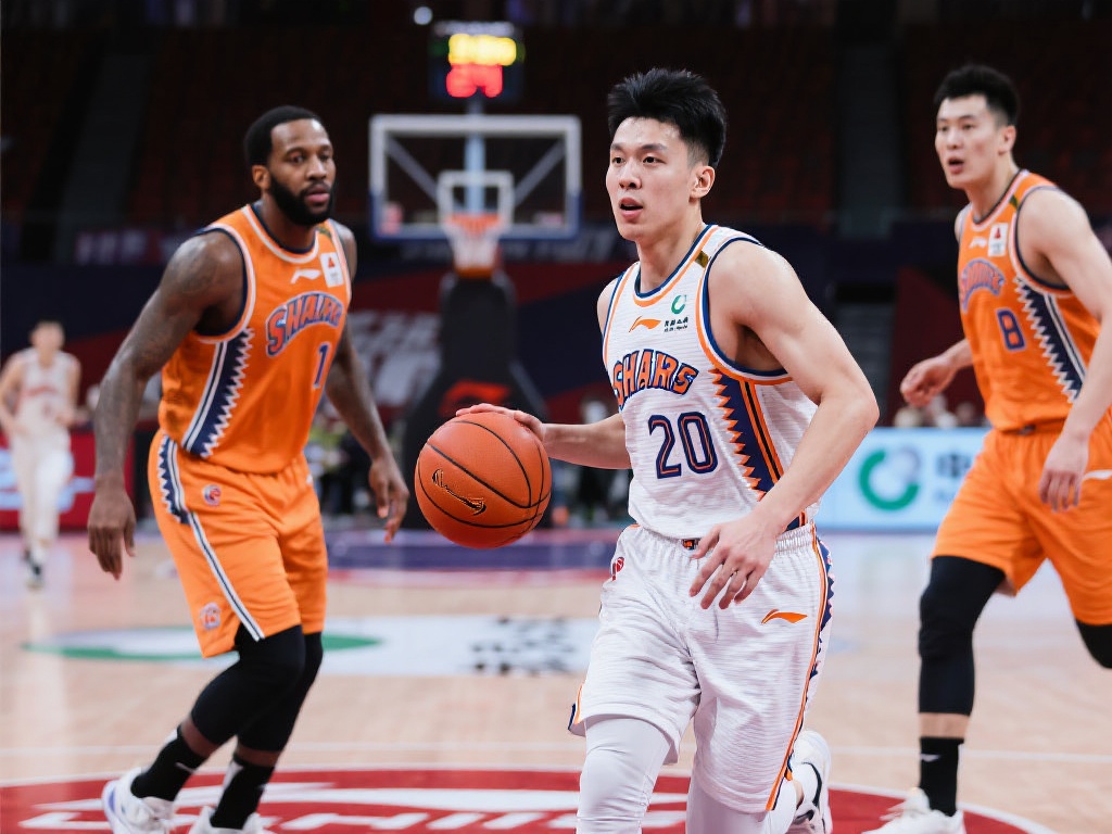 开云入口提 开云入口提